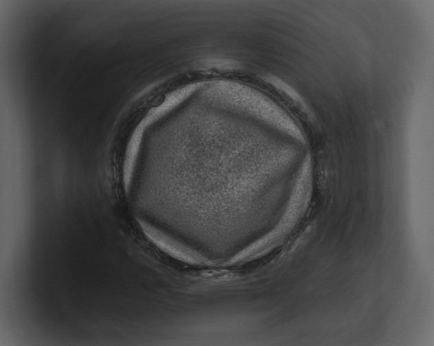 X0000100951112200807151331