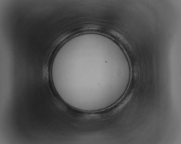 X0000100951113200807151331