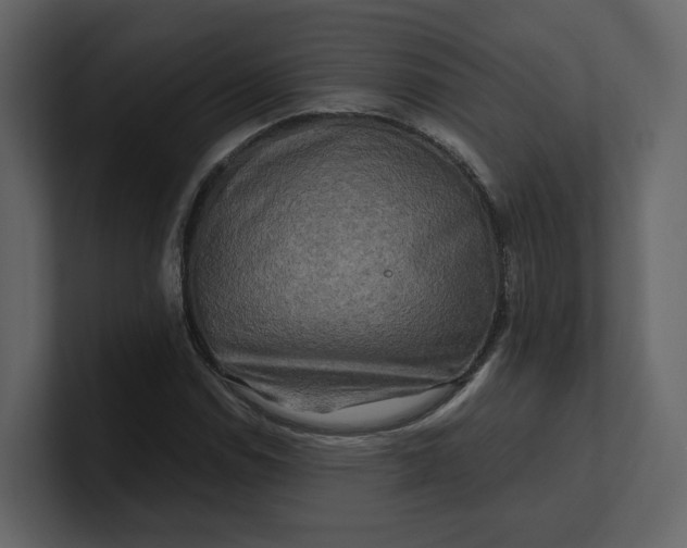 X0000100951114200807151331