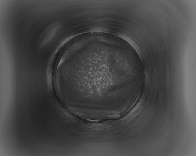 X0000100951115200807151331