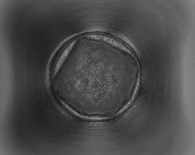 X0000100951116200807151331