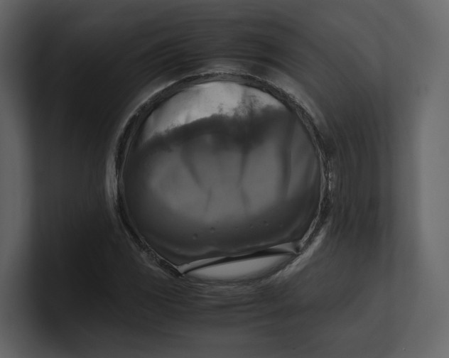 X0000100951117200807151331