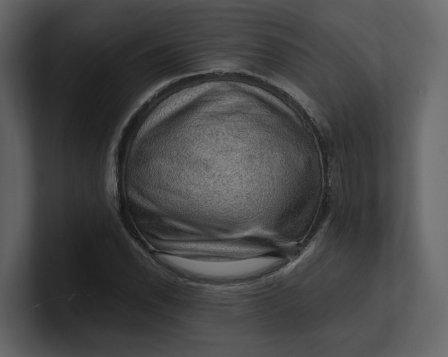 X0000100951118200807151331