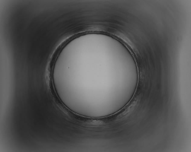 X0000100951119200807151331