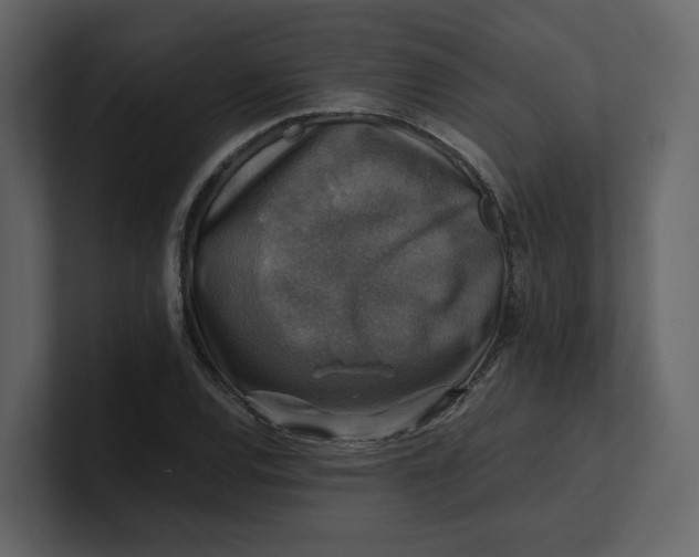 X0000100951120200807151331