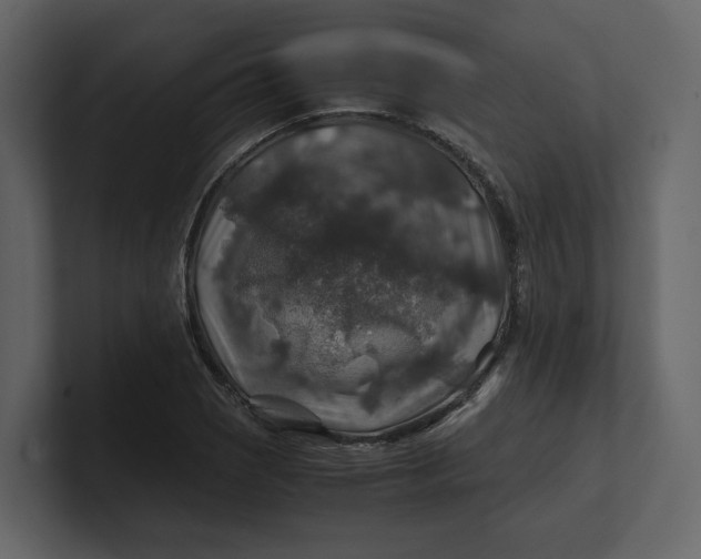 X0000100951121200807151331