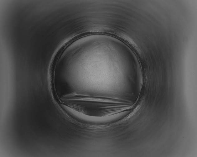 X0000100951122200807151331