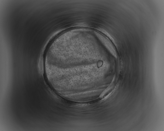 X0000100951123200807151331