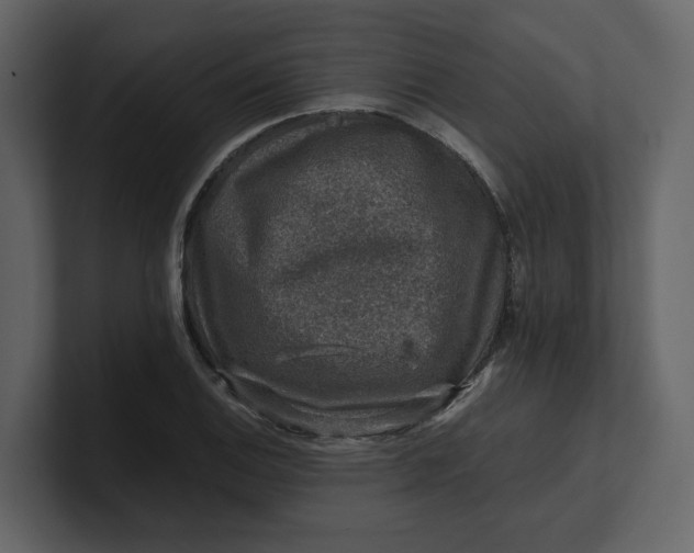 X0000100951124200807151331