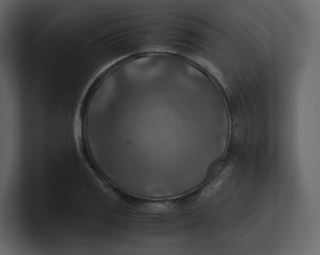 X0000100951125200807151331