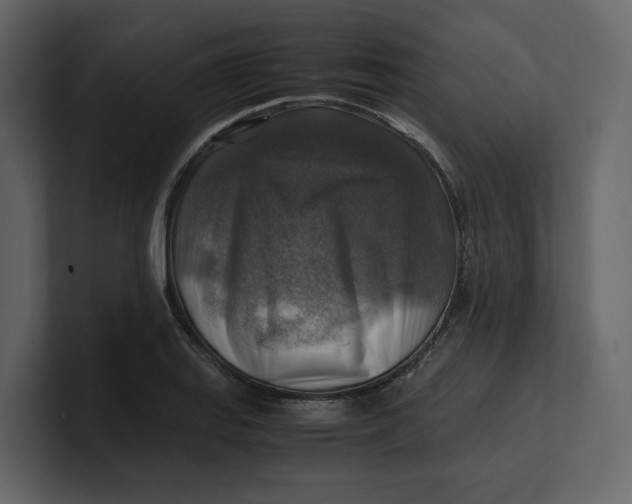 X0000100951127200807151331