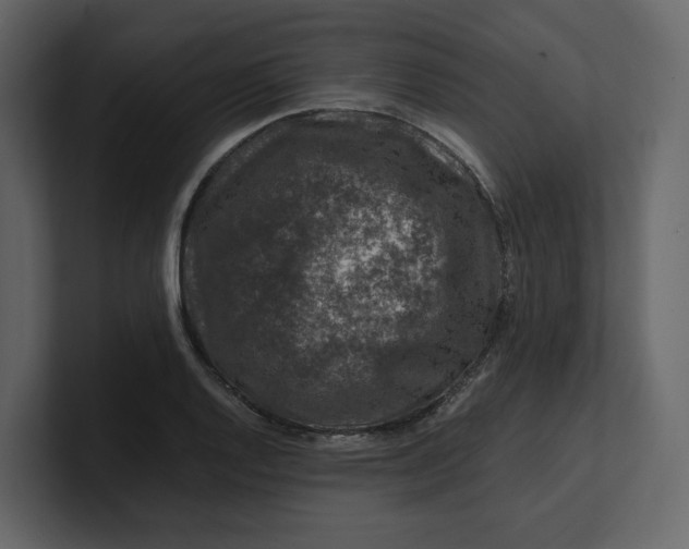 X0000100951128200807151331