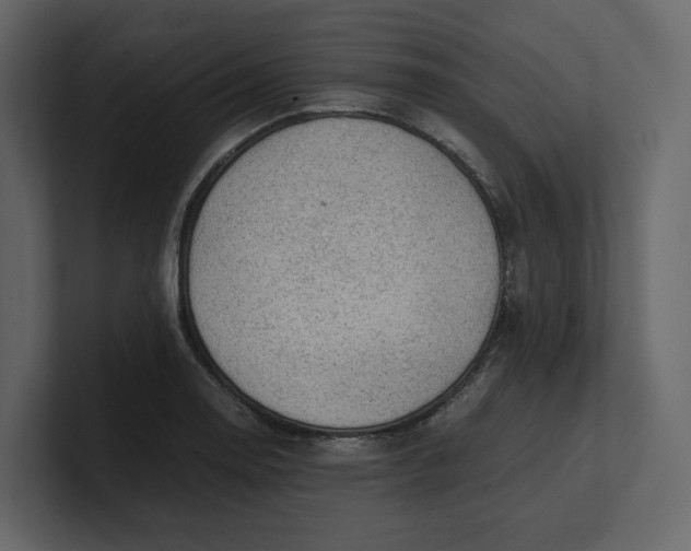 X0000100951130200807151331