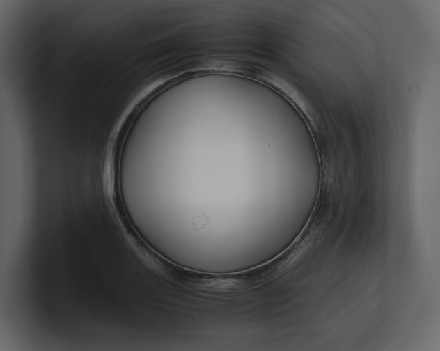 X0000100951131200807151331