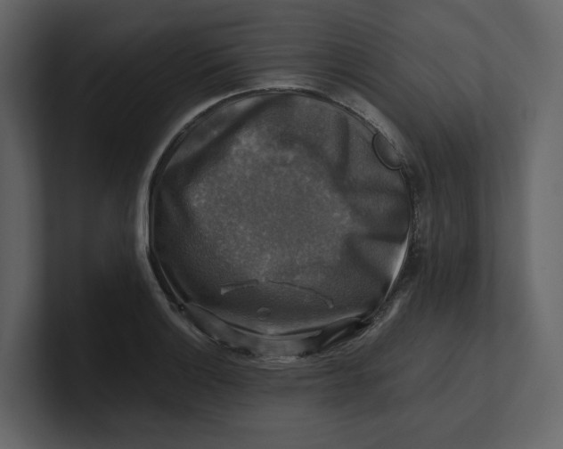 X0000100951132200807151331