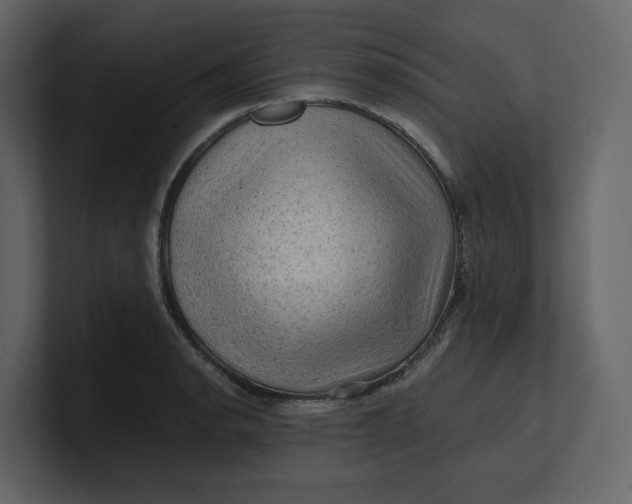 X0000100951134200807151331