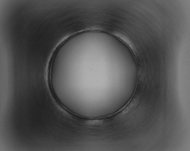 X0000100951135200807151331