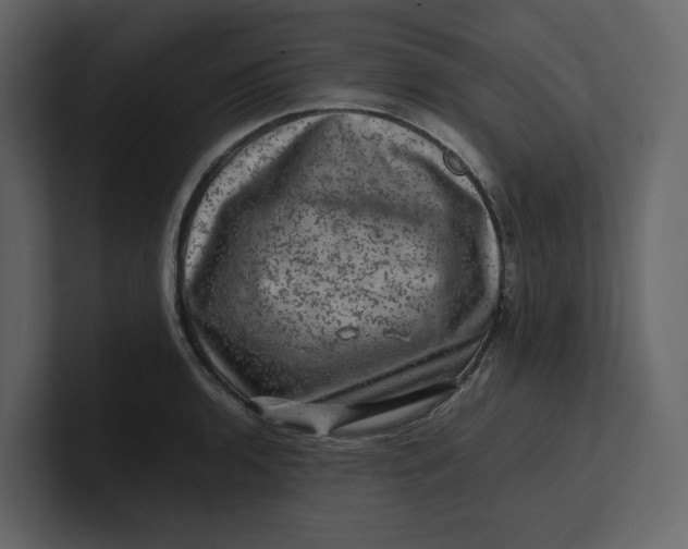 X0000100951136200807151331