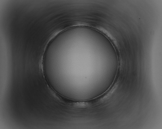 X0000100951137200807151331