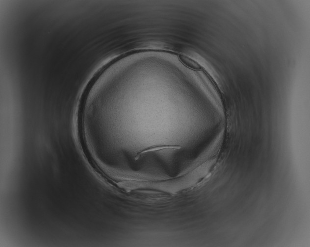 X0000100951139200807151331