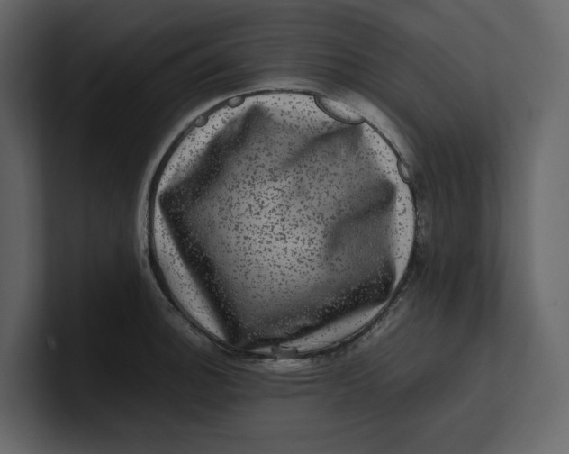 X0000100951140200807151331