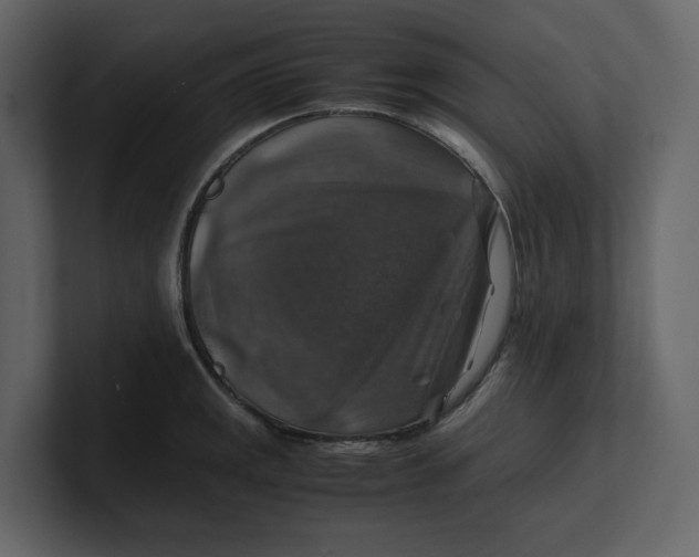 X0000100951141200807151331