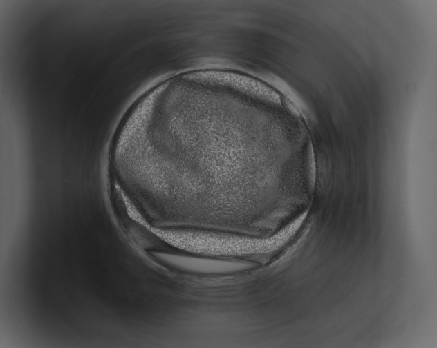 X0000100951142200807151331