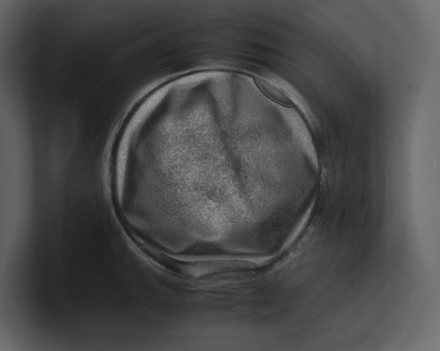 X0000100951143200807151331