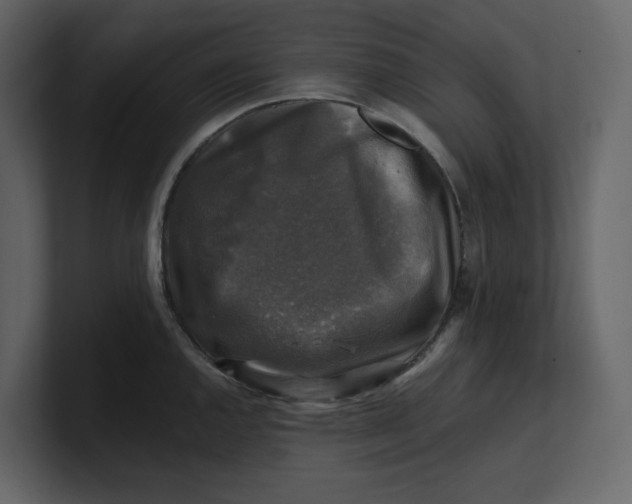 X0000100951144200807151331