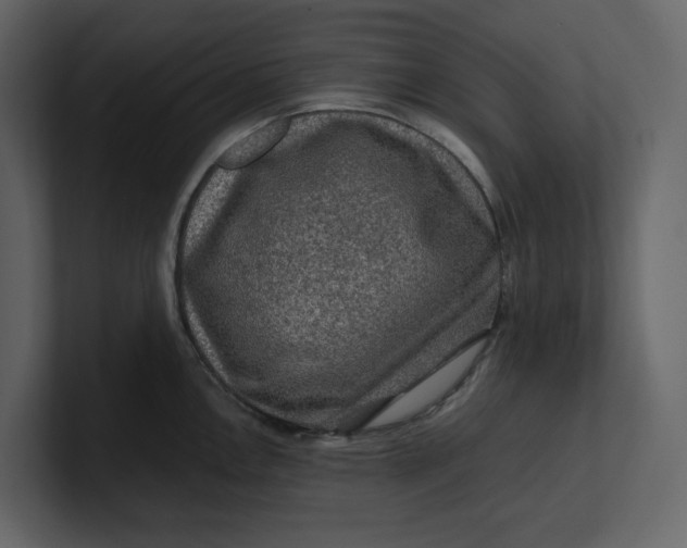 X0000100951146200807151331