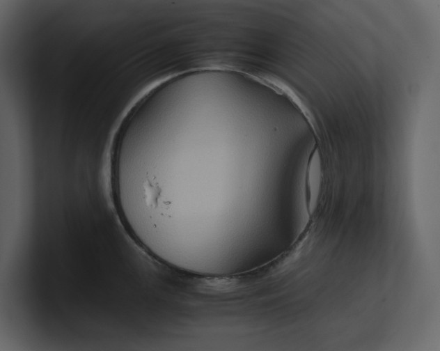 X0000100951147200807151331