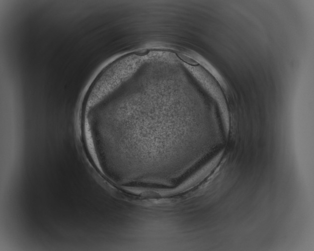 X0000100951148200807151331