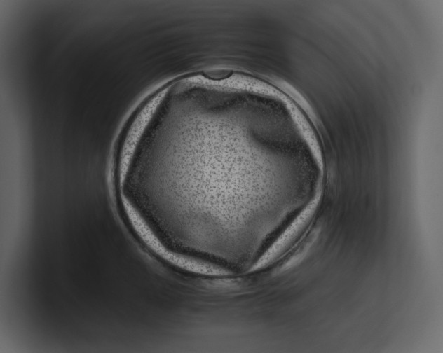 X0000100951149200807151331