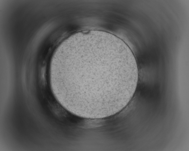 X0000100951150200807151331