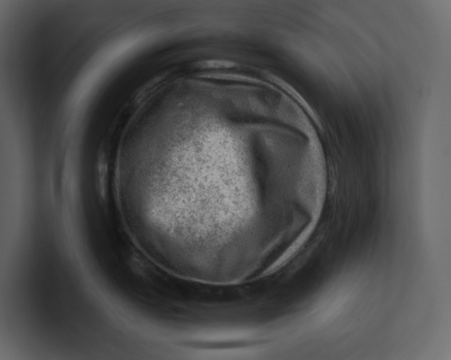 X0000100951151200807151331