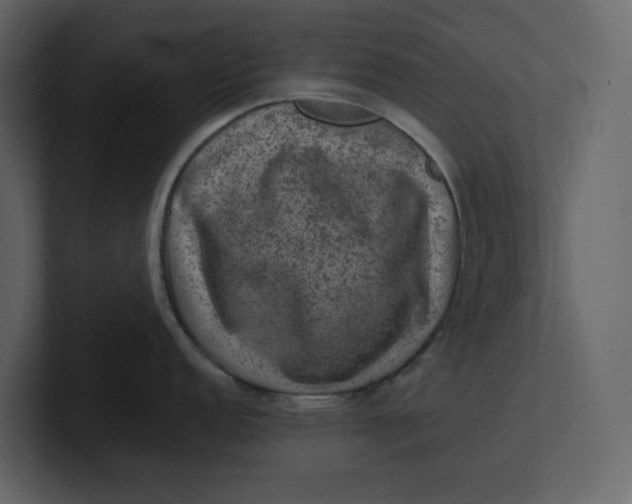 X0000100951152200807151331