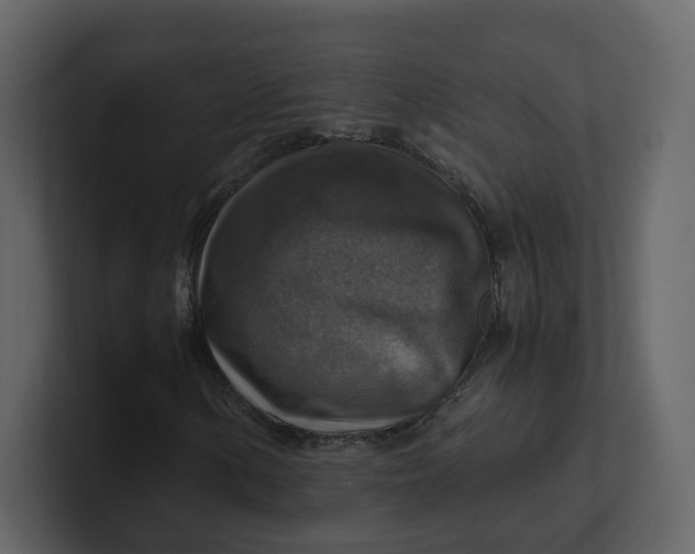 X0000100951154200807151331