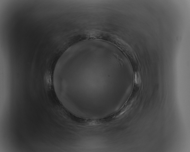 X0000100951155200807151331