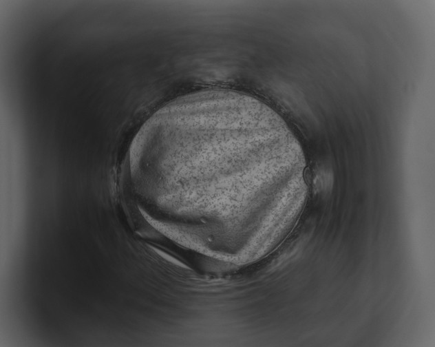 X0000100951156200807151331