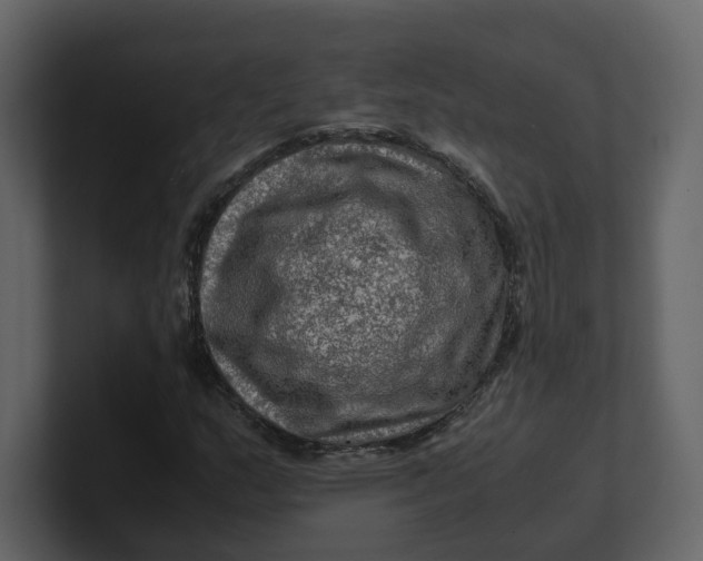 X0000100951159200807151331