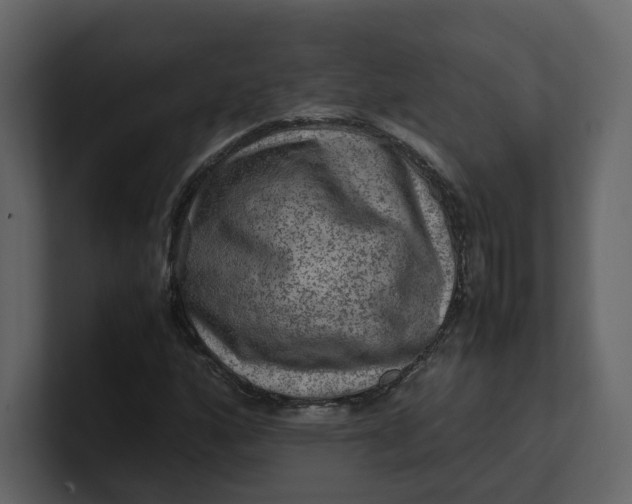 X0000100951160200807151331