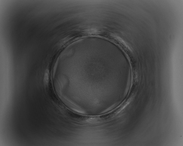 X0000100951161200807151331