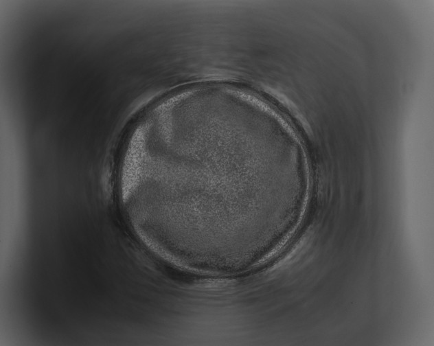 X0000100951163200807151331