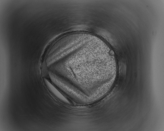 X0000100951164200807151331