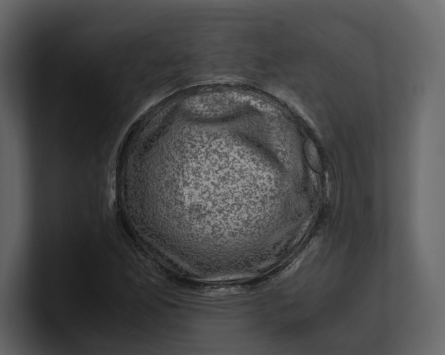 X0000100951165200807151331