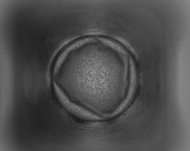 X0000100951167200807151330