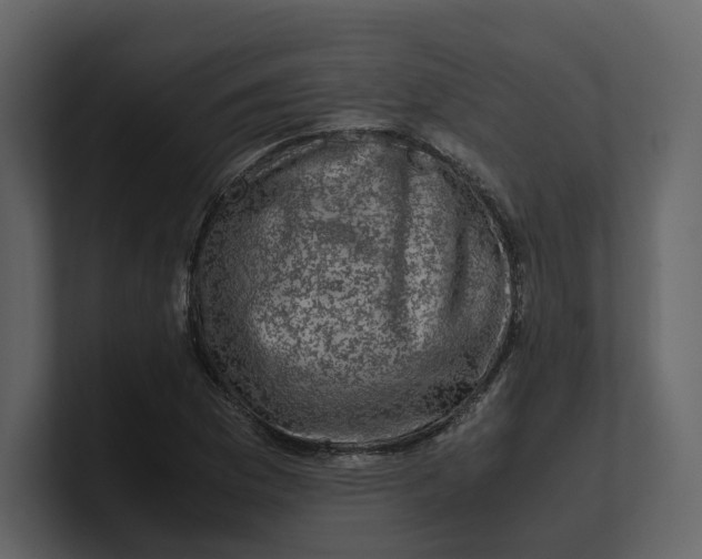 X0000100951169200807151330