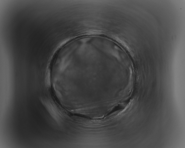 X0000100951171200807151330