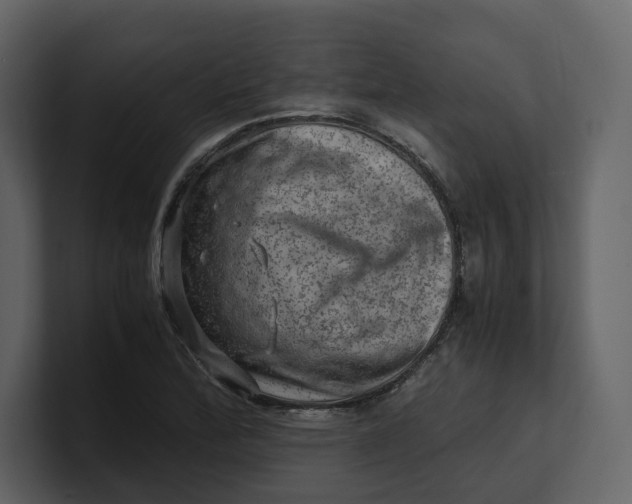 X0000100951172200807151330