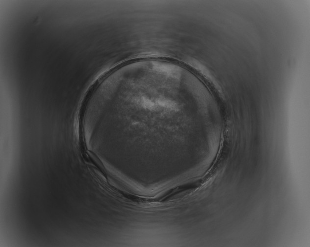 X0000100951173200807151330